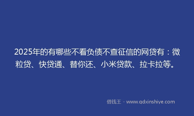 2025年的有哪些不看负债不查征信的网贷有：微粒贷、快贷通、替你还、小米贷款、拉卡拉等。