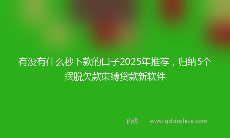 有没有什么秒下款的口子2025年推荐，归纳5个摆脱欠款束缚贷款新软件