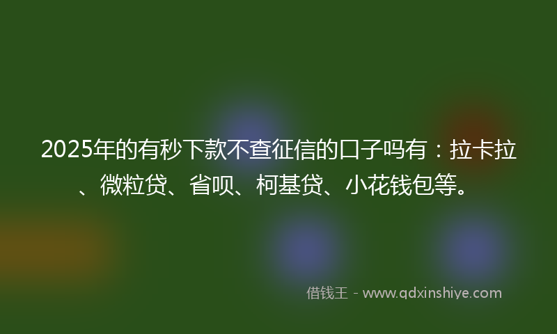 2025年的有秒下款不查征信的口子吗有：拉卡拉、微粒贷、省呗、柯基贷、小花钱包等。