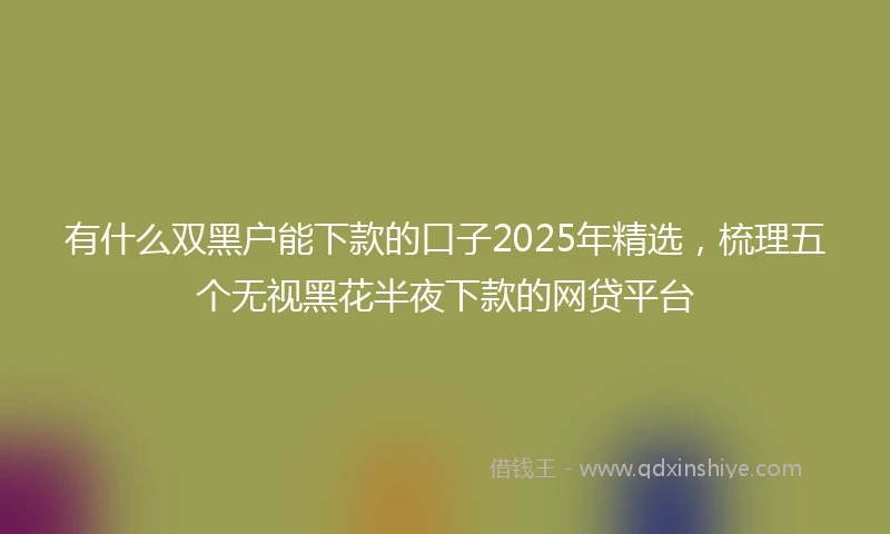 有什么双黑户能下款的口子2025年精选，梳理五个无视黑花半夜下款的网贷平台