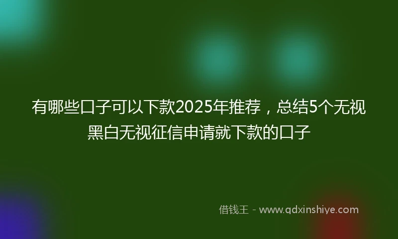 有哪些口子可以下款2025年推荐，总结5个无视黑白无视征信申请就下款的口子