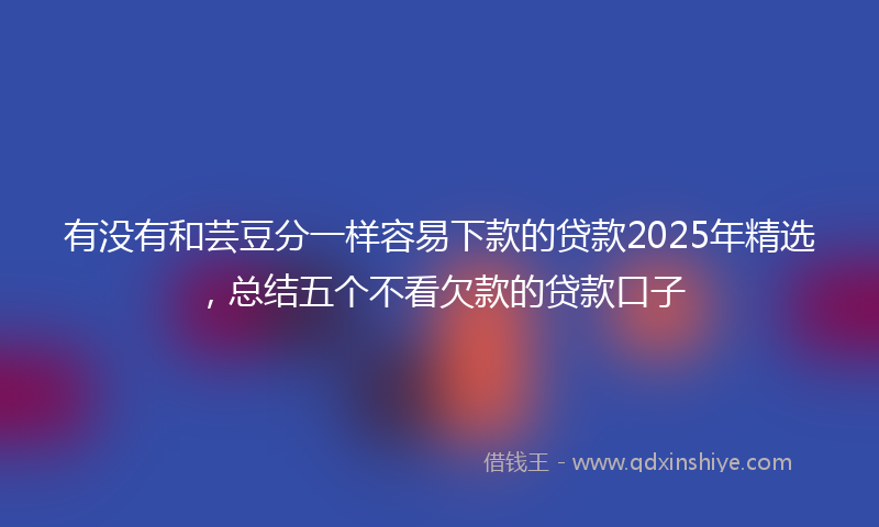 有没有和芸豆分一样容易下款的贷款2025年精选，总结五个不看欠款的贷款口子