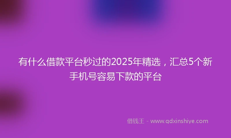 有什么借款平台秒过的2025年精选，汇总5个新手机号容易下款的平台