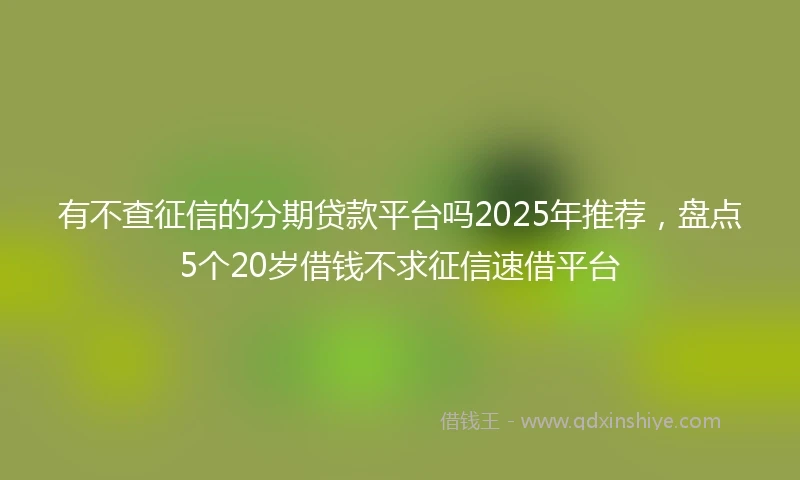 有不查征信的分期贷款平台吗2025年推荐，盘点5个20岁借钱不求征信速借平台