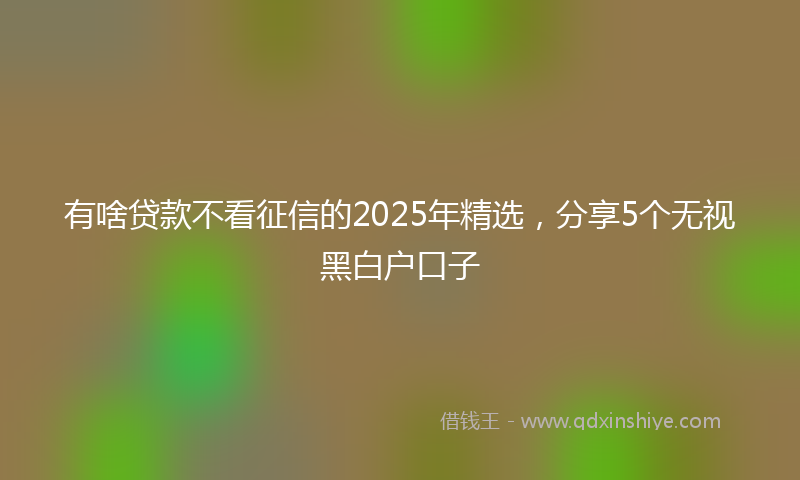 有啥贷款不看征信的2025年精选，分享5个无视黑白户口子