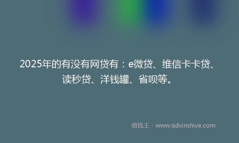 2025年的有没有网贷有：e微贷、维信卡卡贷、读秒贷、洋钱罐、省呗等。