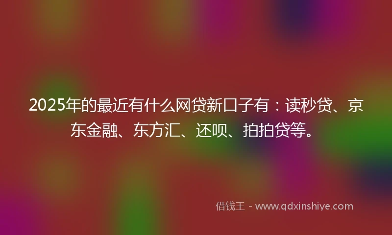 2025年的最近有什么网贷新口子有：读秒贷、京东金融、东方汇、还呗、拍拍贷等。