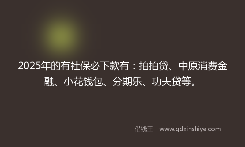2025年的有社保必下款有：拍拍贷、中原消费金融、小花钱包、分期乐、功夫贷等。