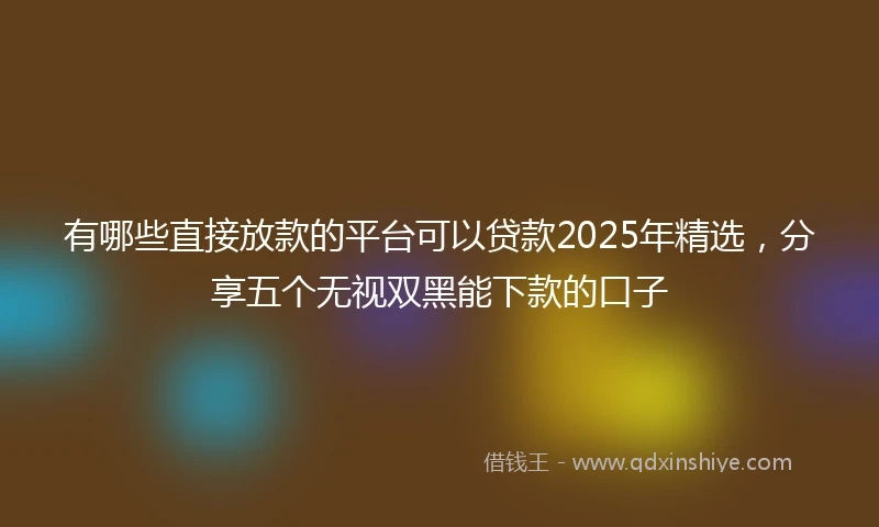 有哪些直接放款的平台可以贷款2025年精选，分享五个无视双黑能下款的口子