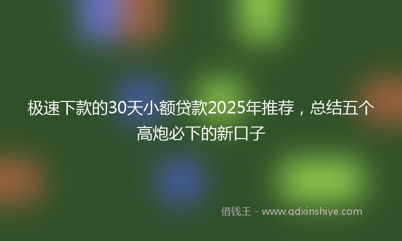 极速下款的30天小额贷款2025年推荐，总结五个高炮必下的新口子