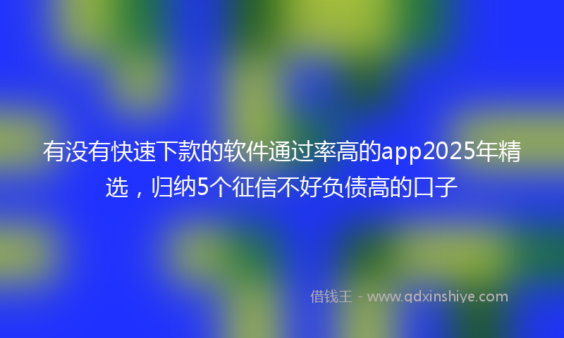 有没有快速下款的软件通过率高的app2025年精选，归纳5个征信不好负债高的口子