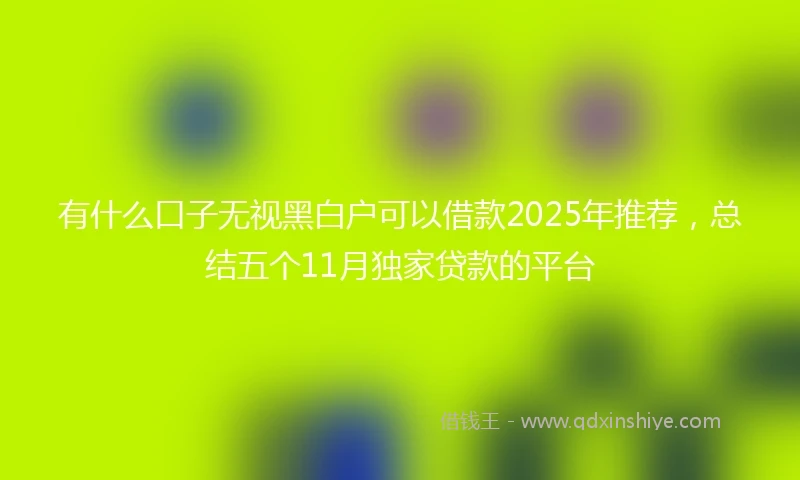 有什么口子无视黑白户可以借款2025年推荐，总结五个11月独家贷款的平台