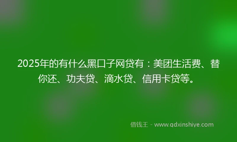 2025年的有什么黑口子网贷有：美团生活费、替你还、功夫贷、滴水贷、信用卡贷等。