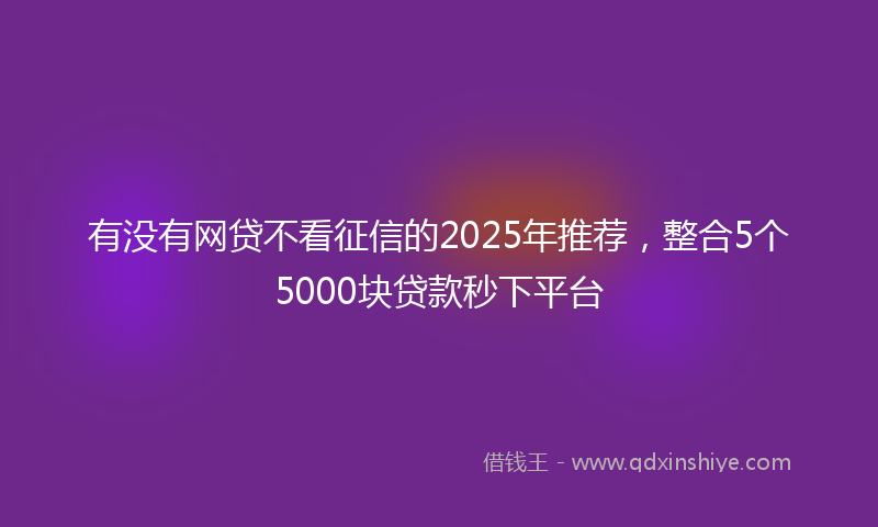 有没有网贷不看征信的2025年推荐，整合5个5000块贷款秒下平台