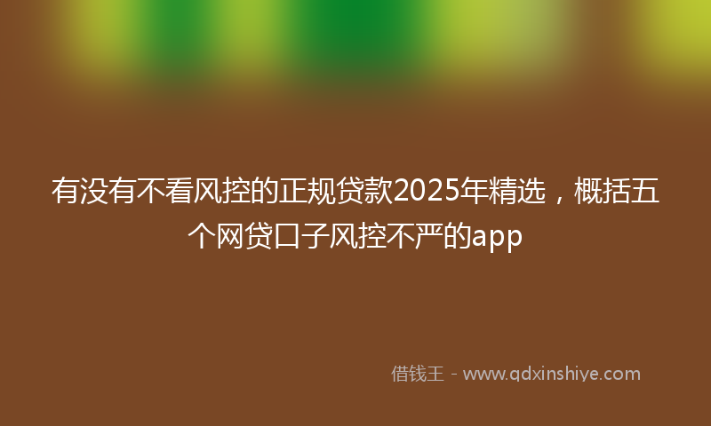有没有不看风控的正规贷款2025年精选，概括五个网贷口子风控不严的app