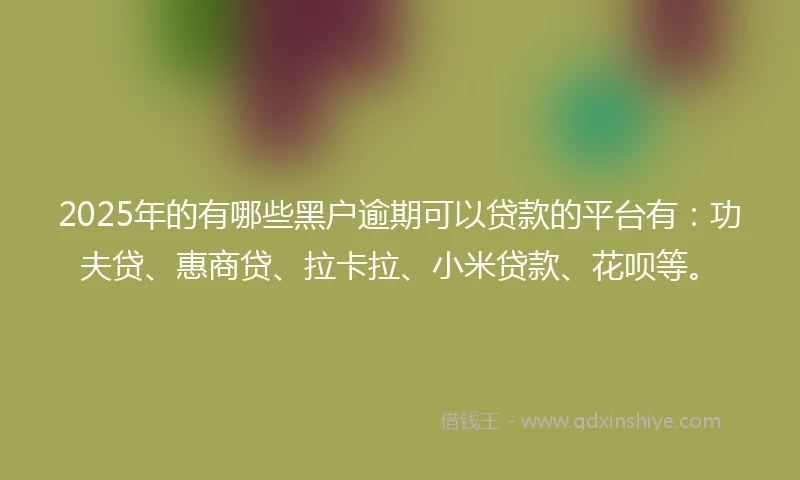 2025年的有哪些黑户逾期可以贷款的平台有：功夫贷、惠商贷、拉卡拉、小米贷款、花呗等。