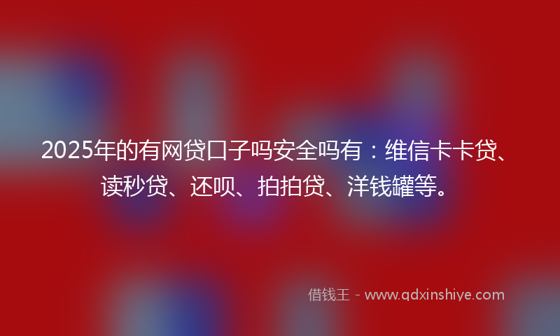 2025年的有网贷口子吗安全吗有：维信卡卡贷、读秒贷、还呗、拍拍贷、洋钱罐等。