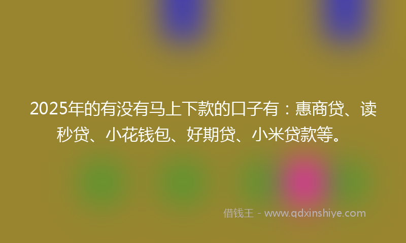 2025年的有没有马上下款的口子有：惠商贷、读秒贷、小花钱包、好期贷、小米贷款等。