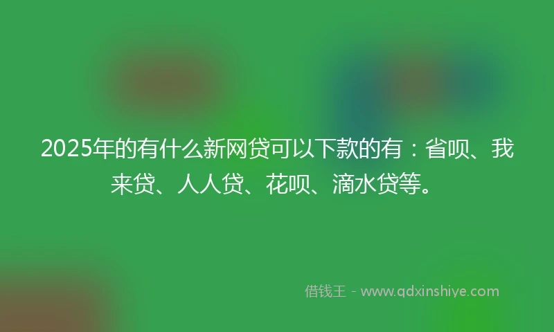 2025年的有什么新网贷可以下款的有：省呗、我来贷、人人贷、花呗、滴水贷等。