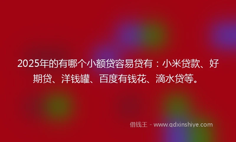 2025年的有哪个小额贷容易贷有：小米贷款、好期贷、洋钱罐、百度有钱花、滴水贷等。