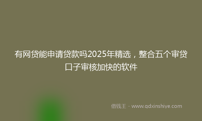 有网贷能申请贷款吗2025年精选，整合五个审贷口子审核加快的软件