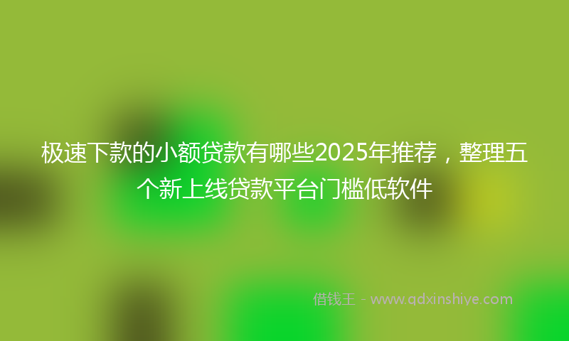 极速下款的小额贷款有哪些2025年推荐，整理五个新上线贷款平台门槛低软件