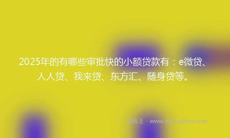 2025年的有哪些审批快的小额贷款有：e微贷、人人贷、我来贷、东方汇、随身贷等。