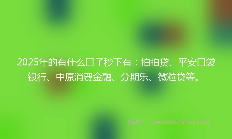 2025年的有什么口子秒下有：拍拍贷、平安口袋银行、中原消费金融、分期乐、微粒贷等。