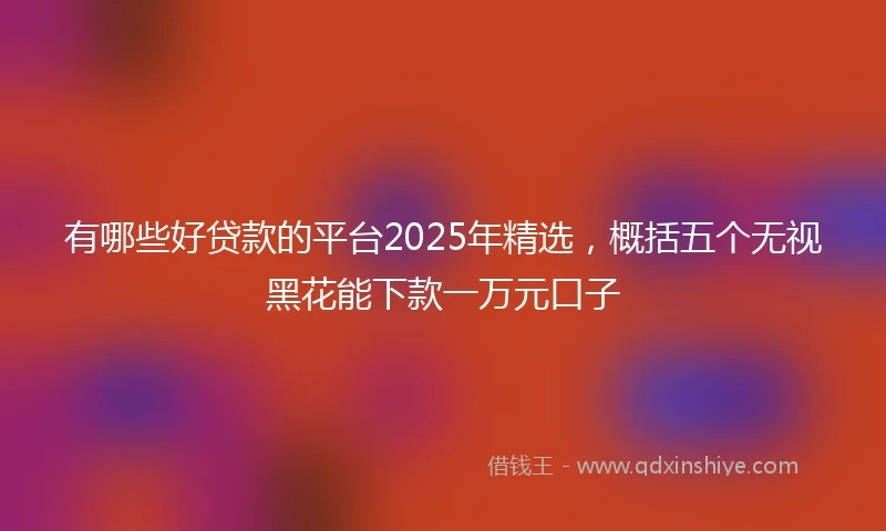 有哪些好贷款的平台2025年精选，概括五个无视黑花能下款一万元口子