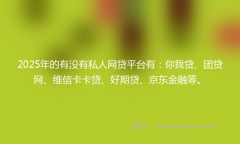 2025年的有没有私人网贷平台有：你我贷、团贷网、维信卡卡贷、好期贷、京东金融等。