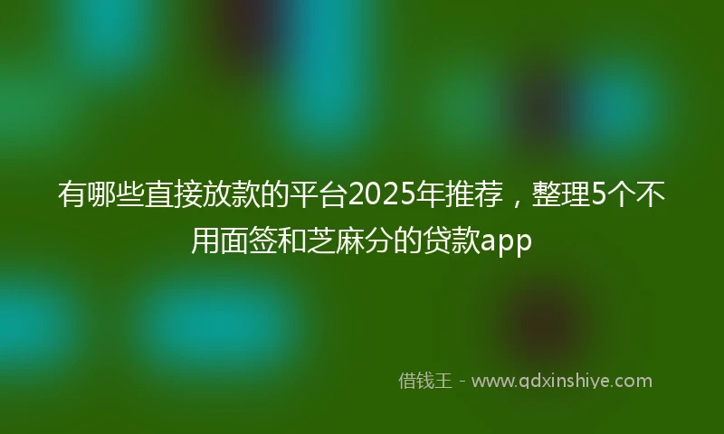 有哪些直接放款的平台2025年推荐,整理5个不用面签和芝麻分的贷款app