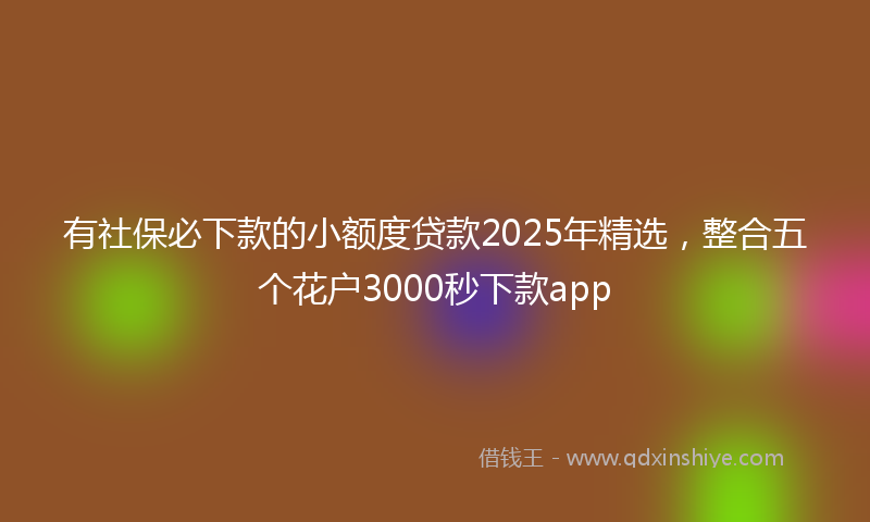 有社保必下款的小额度贷款2025年精选，整合五个花户3000秒下款app