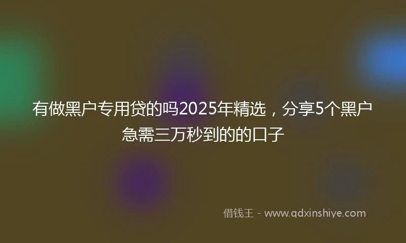 有做黑户专用贷的吗2025年精选，分享5个黑户急需三万秒到的的口子