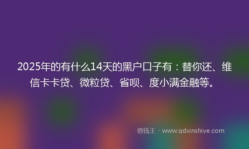 2025年的有什么14天的黑户口子有：替你还、维信卡卡贷、微粒贷、省呗、度小满金融等。