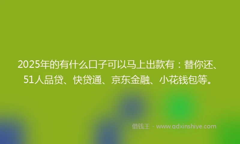 2025年的有什么口子可以马上出款有：替你还、51人品贷、快贷通、京东金融、小花钱包等。