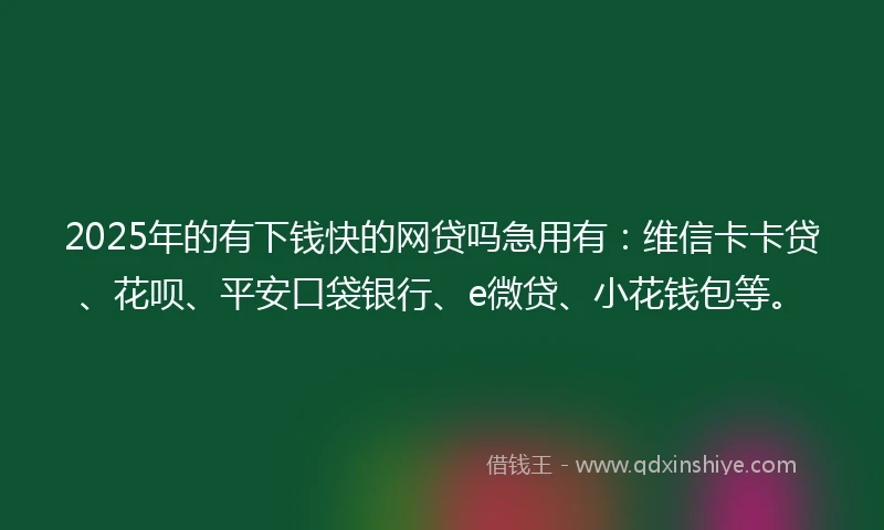2025年的有下钱快的网贷吗急用有：维信卡卡贷、花呗、平安口袋银行、e微贷、小花钱包等。