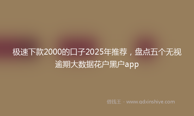 极速下款2000的口子2025年推荐，盘点五个无视逾期大数据花户黑户app