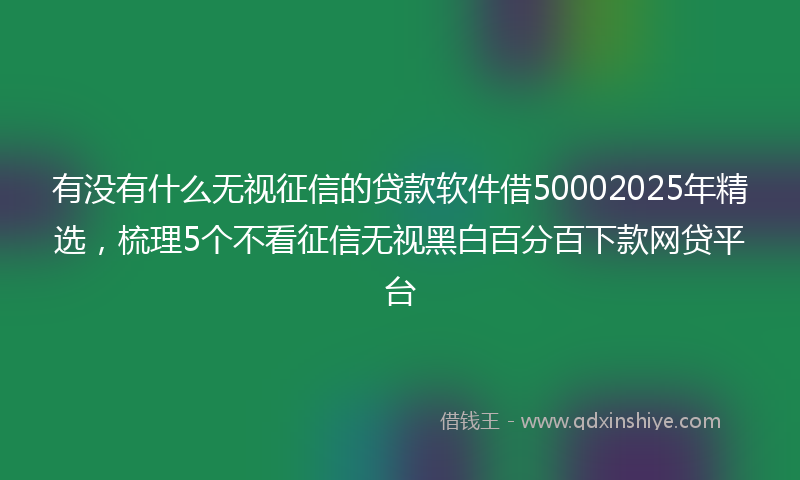 有没有什么无视征信的贷款软件借50002025年精选，梳理5个不看征信无视黑白百分百下款网贷平台