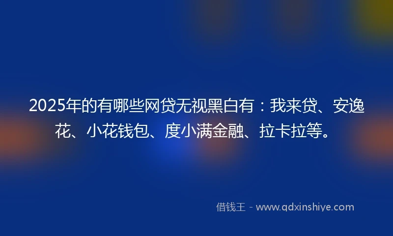 2025年的有哪些网贷无视黑白有：我来贷、安逸花、小花钱包、度小满金融、拉卡拉等。