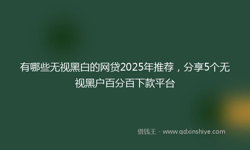 有哪些无视黑白的网贷2025年推荐，分享5个无视黑户百分百下款平台