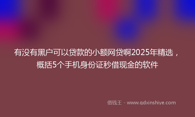 有没有黑户可以贷款的小额网贷啊2025年精选，概括5个手机身份证秒借现金的软件