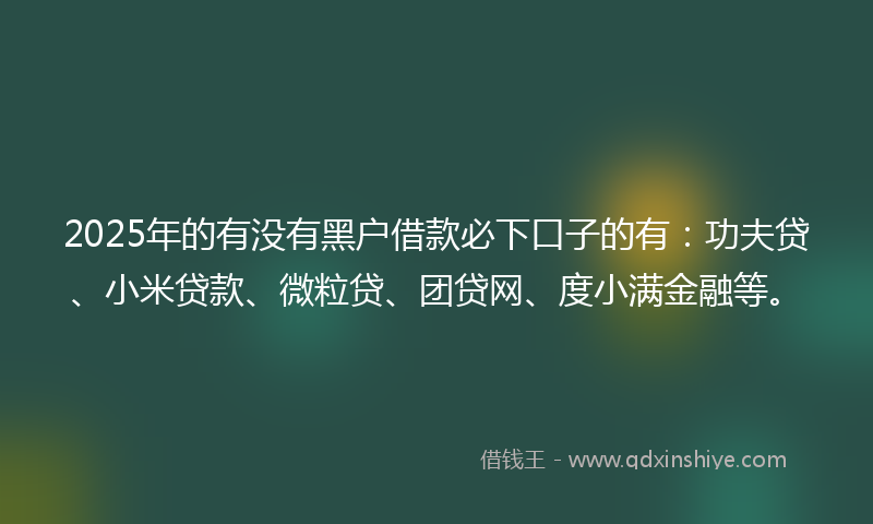 2025年的有没有黑户借款必下口子的有：功夫贷、小米贷款、微粒贷、团贷网、度小满金融等。