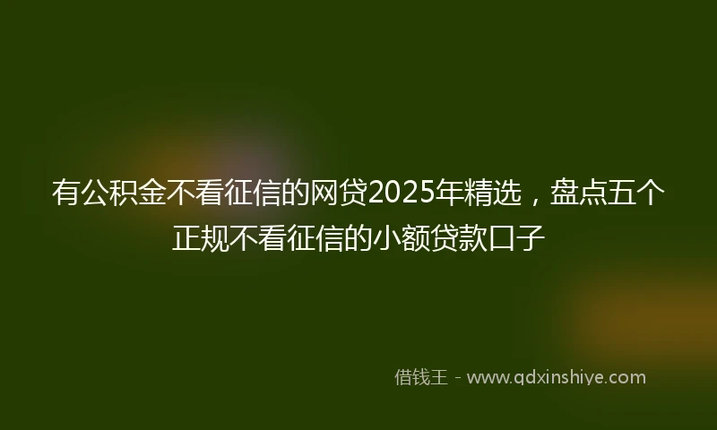 有公积金不看征信的网贷2025年精选，盘点五个正规不看征信的小额贷款口子