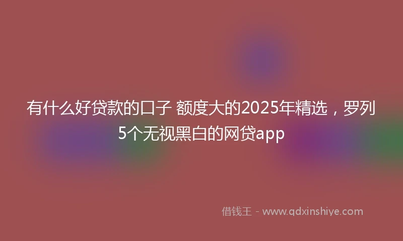 有什么好贷款的口子 额度大的2025年精选，罗列5个无视黑白的网贷app