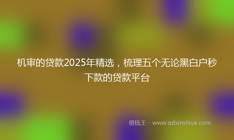 机审的贷款2025年精选，梳理五个无论黑白户秒下款的贷款平台