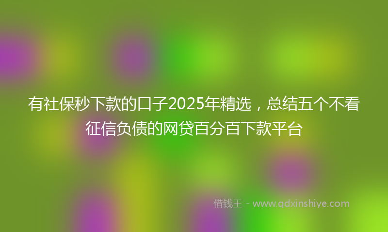 有社保秒下款的口子2025年精选，总结五个不看征信负债的网贷百分百下款平台