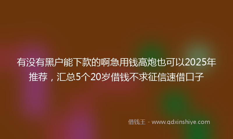 有没有黑户能下款的啊急用钱高炮也可以2025年推荐，汇总5个20岁借钱不求征信速借口子