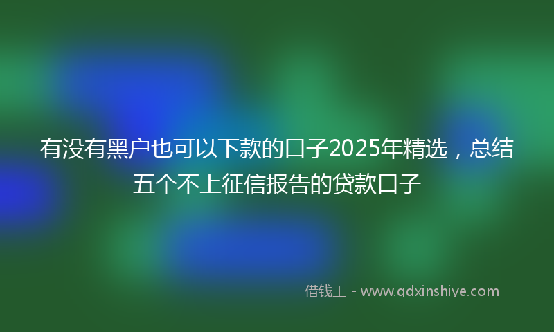 有没有黑户也可以下款的口子2025年精选，总结五个不上征信报告的贷款口子