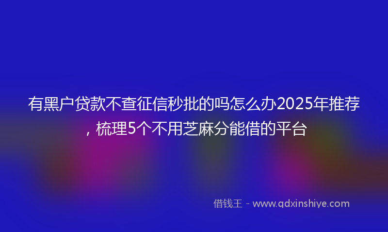 有黑户贷款不查征信秒批的吗怎么办2025年推荐，梳理5个不用芝麻分能借的平台