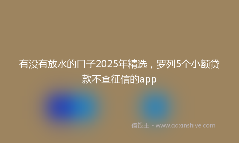 有没有放水的口子2025年精选，罗列5个小额贷款不查征信的app